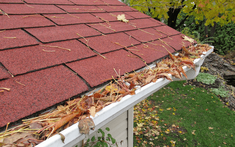 Clogged Gutters